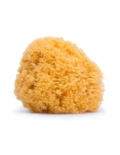 Suavinex Esponja Natural Grande, 1 unidad 2